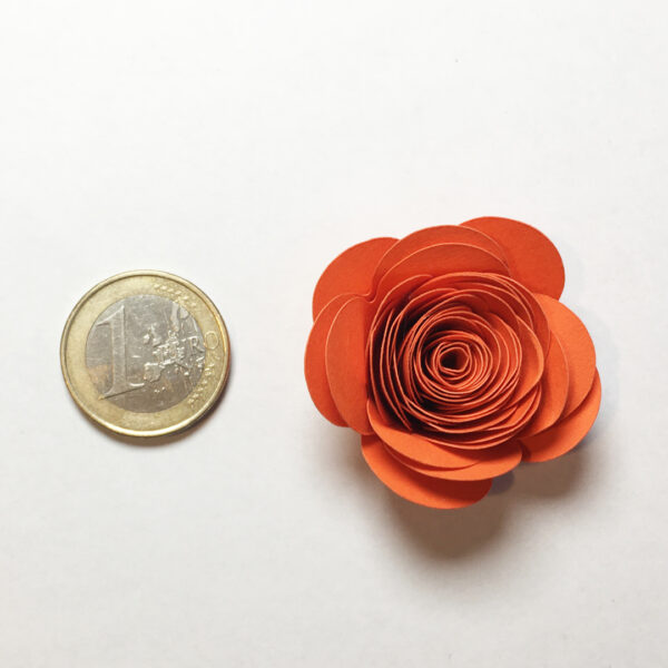 Euromünze und eine große gerollte Papierblume für den Größenvergleich